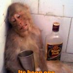 drunk monkey | Yep.... Its been one of THOSE days... | image tagged in drunk monkey | made w/ Imgflip meme maker