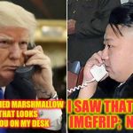 The Phone Call | I HAVE A SQUASHED MARSHMALLOW BUNNY THAT LOOKS JUST LIKE YOU ON MY DESK; I SAW THAT MEME ON IMGFRIP;
 NOT FUNNY | image tagged in the phone call | made w/ Imgflip meme maker