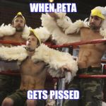 BIRDS OF WAR | WHEN PETA; GETS PISSED | image tagged in petapissed,funny | made w/ Imgflip meme maker