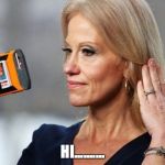 Conway Narcissist | HI.......... | image tagged in conway narcissist | made w/ Imgflip meme maker