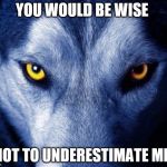 wolf | YOU WOULD BE WISE; NOT TO UNDERESTIMATE ME. | image tagged in wolf | made w/ Imgflip meme maker