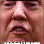 Trump Derp | ERMAHGERD; MOOSLIMS!!! | image tagged in trump derp | made w/ Imgflip meme maker