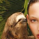 rape sloth