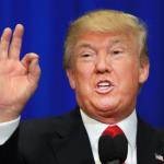 The Donald