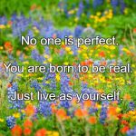 Wildflowers | No one is perfect. You are born to be real. Just live as yourself. | image tagged in wildflowers | made w/ Imgflip meme maker