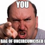 You are a bag of dicks | YOU; ARE A BAG OF UNCIRCUMCISED DICKS | image tagged in you are a bag of dicks | made w/ Imgflip meme maker