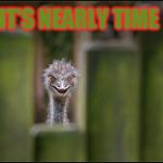 Soon Ostrich | IT'S NEARLY TIME | image tagged in soon ostrich | made w/ Imgflip meme maker