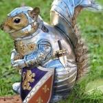 Armor squirrel meme