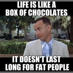 tom hanks | LIFE IS LIKE A BOX OF CHOCOLATES; IT DOESN'T LAST LONG FOR FAT PEOPLE | image tagged in tom hanks | made w/ Imgflip meme maker