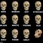 idiot skull meme