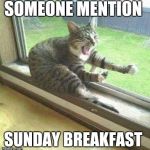 Motorcycle cat | SOMEONE MENTION; SUNDAY BREAKFAST | image tagged in motorcycle cat | made w/ Imgflip meme maker