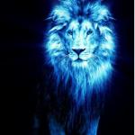 Blue Lion