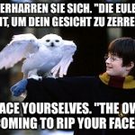 Brace Yourselves "The Owl" Is Coming To Rip Your Face Off - True Facts | VERHARREN SIE SICH. "DIE EULE" KOMMT, UM DEIN GESICHT ZU ZERREISSEN. BRACE YOURSELVES. "THE OWL" IS COMING TO RIP YOUR FACE OFF. | image tagged in harry potter owl,true facts,brace yourselves x is coming,the owl,german fairy tale | made w/ Imgflip meme maker