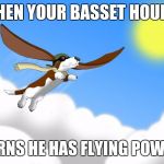 Basset hound with flying ears | WHEN YOUR BASSET HOUND; LEARNS HE HAS FLYING POWERS | image tagged in basset hound with flying ears | made w/ Imgflip meme maker