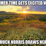 Almost | SUMMER TIME GETS EXCITED WHEN; CHUCK NORRIS DRAWS NEAR | image tagged in sun rays flowers,summer time,summer,chuck norris | made w/ Imgflip meme maker