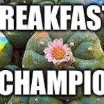 Forget the Wheaties | BREAKFAST; OF CHAMPIONS | image tagged in yote,funny,memes,animals,rainbow,gifs | made w/ Imgflip meme maker