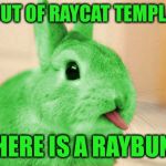 RayBunny | I'M OUT OF RAYCAT TEMPLATES; SO HERE IS A RAYBUNNY | image tagged in raybunny,memes | made w/ Imgflip meme maker