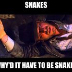 Indiana Jones Why'd It Have to be Snakes | SNAKES; WHY'D IT HAVE TO BE SNAKES | image tagged in indiana jones why'd it have to be snakes | made w/ Imgflip meme maker
