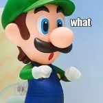 what | what | image tagged in nendoroid luigi,what,memes | made w/ Imgflip meme maker