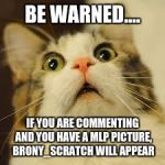 This is true! XD | BE WARNED.... IF YOU ARE COMMENTING AND YOU HAVE A MLP PICTURE, BRONY_SCRATCH WILL APPEAR | image tagged in scared cat,brony_scratch | made w/ Imgflip meme maker
