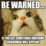 Robroman, the awesome dude! | BE WARNED... IF YOU SAY SOMETHING AWESOME ROBROMAN WILL APPEAR! | image tagged in scared cat,robroman | made w/ Imgflip meme maker