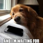 Monday sad pup | IT'S MONDAY; AND I'M WAITING FOR THE WEEKEND TO CALL | image tagged in monday sad pup | made w/ Imgflip meme maker