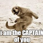 Crazy dog dance  | i am the CAPTAIN of you | image tagged in crazy dog dance | made w/ Imgflip meme maker