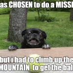 Pug Tennis Ball | i was CHOSEN to do a MISSION; but i had to climb up the MOUNTAIN  to get the ball | image tagged in pug tennis ball | made w/ Imgflip meme maker