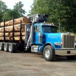 Peterbilt logger meme