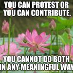 Lotus flowers high in air | YOU CAN PROTEST OR YOU CAN CONTRIBUTE. YOU CANNOT DO BOTH IN ANY MEANINGFUL WAY. | image tagged in lotus flowers high in air | made w/ Imgflip meme maker