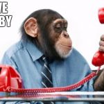 monkey manager | I LOVE U BABY | image tagged in monkey manager | made w/ Imgflip meme maker