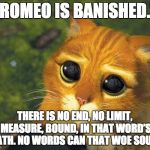 Sad cat | “ROMEO IS BANISHED.”; THERE IS NO END, NO LIMIT, MEASURE, BOUND,
IN THAT WORD’S DEATH. NO WORDS CAN THAT WOE SOUND. | image tagged in sad cat | made w/ Imgflip meme maker