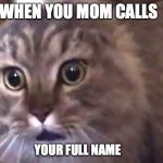 Nonono cat | WHEN YOU MOM CALLS; YOUR FULL NAME | image tagged in nonono cat | made w/ Imgflip meme maker