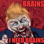 Zombie Trump Needs Brains | BRAINS; I NEED BRAINS | image tagged in zombie trump,zombies,zombie week,radiation zombie week,donald trump,trump | made w/ Imgflip meme maker