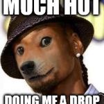 snoop doge.jipgpg | MUCH HOT; DOING ME A DROP | image tagged in snoop dogejipgpg | made w/ Imgflip meme maker