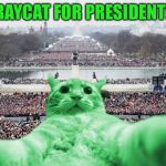 RayCat Inauguration | RAYCAT FOR PRESIDENT! | image tagged in raycat inauguration,memes | made w/ Imgflip meme maker
