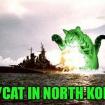RayCatzilla | RAYCAT IN NORTH KOREA | image tagged in raycatzilla,memes | made w/ Imgflip meme maker
