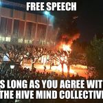 berkeley protests riots | FREE SPEECH; AS LONG AS YOU AGREE WITH THE HIVE MIND COLLECTIVE | image tagged in berkeley protests riots | made w/ Imgflip meme maker