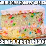 Bring it back | I REMEMBER SOME HOME EC ASSIGNMENTS; BEING A PIECE OF CAKE | image tagged in party cake | made w/ Imgflip meme maker