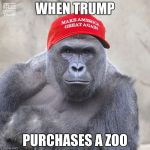 MAGA Harambe | WHEN TRUMP; PURCHASES A ZOO | image tagged in maga harambe | made w/ Imgflip meme maker