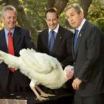Turkey Gobbles Bush 