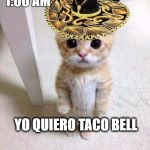 cute cat in hat | 1:00 AM; YO QUIERO TACO BELL | image tagged in cute cat in hat | made w/ Imgflip meme maker