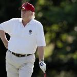 fat trump golfing