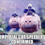 Cat speeders  | IMPERIAL CAT SPEEDERS CONFIRMED . | image tagged in star wars cats | made w/ Imgflip meme maker