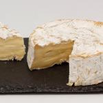 camembert 