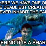 Sharks created the 'week' theme. | HERE WE HAVE ONE OF THE DEADLIEST CREATURES TO EVER INHABIT THE EARTH. BEHIND IT IS A SHARK | image tagged in shark,shark week,bacon,human | made w/ Imgflip meme maker