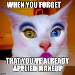 Makeup cat | WHEN YOU FORGET; THAT YOU'VE ALREADY APPLIED MAKEUP | image tagged in makeup cat | made w/ Imgflip meme maker