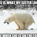 pooping bear | THIS IS WHAT MY SISTER LOOKS; LIKE WHEN SHE IS ON THE TOILET | image tagged in pooping bear | made w/ Imgflip meme maker
