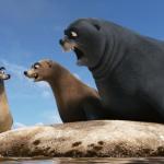 Finding Dory Sea Lions Off