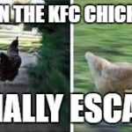 running chicken | WHEN THE KFC CHICKENS; FINALLY ESCAPE | image tagged in running chicken | made w/ Imgflip meme maker